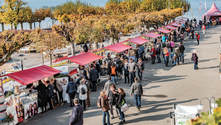 kaeserei-studer-stage-news-cheesefestival-2024